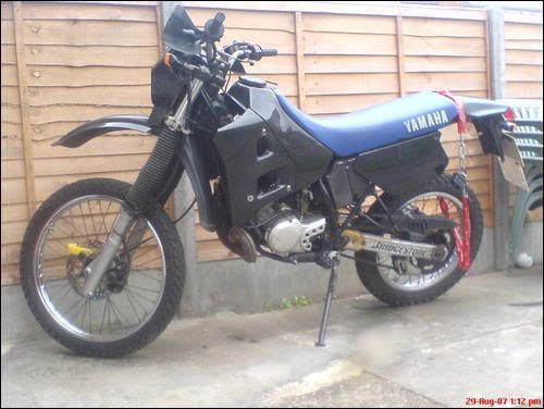 Champ Sx 50