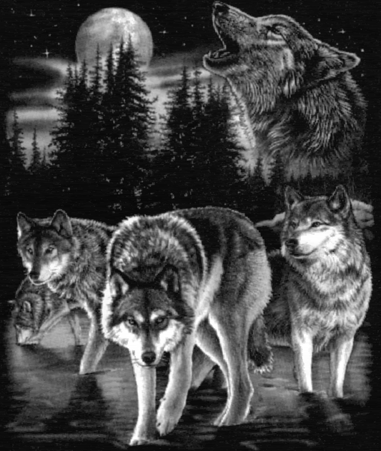 wolves howling picture.