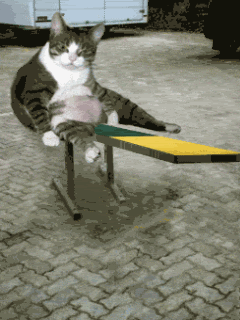 See-Saw11.gif picture by patrymm_2007