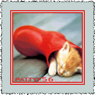 pattyf56_movie_gattini1c.gif