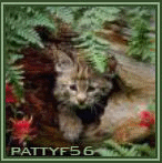 pattyf56_movie_gattini3a.gif