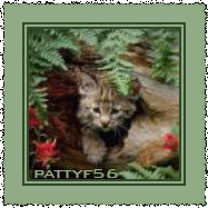 pattyf56_movie_gattini3c.gif
