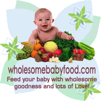 Wholesome Baby Food Site
