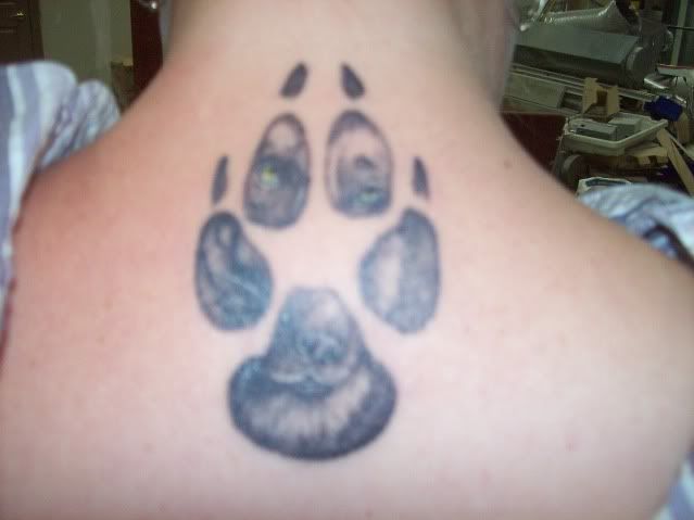 German Shepherd World - View topic - Got My Tattoo finally!