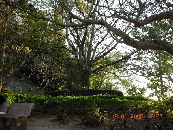 รูปภาพ