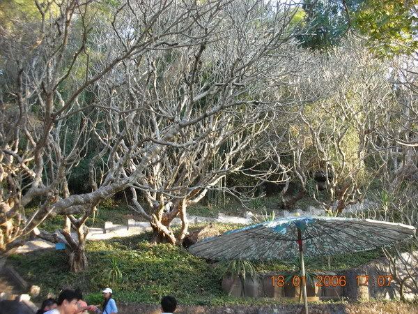 รูปภาพ