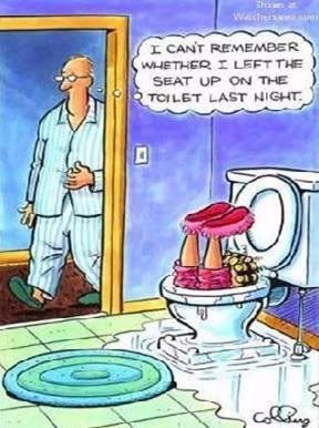 toilet seat Pictures, Images and Photos