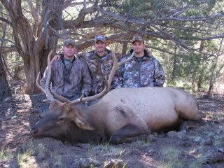 elk9-23-06018.jpg