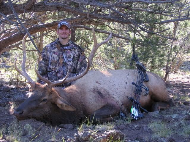 elk9-23-06025.jpg