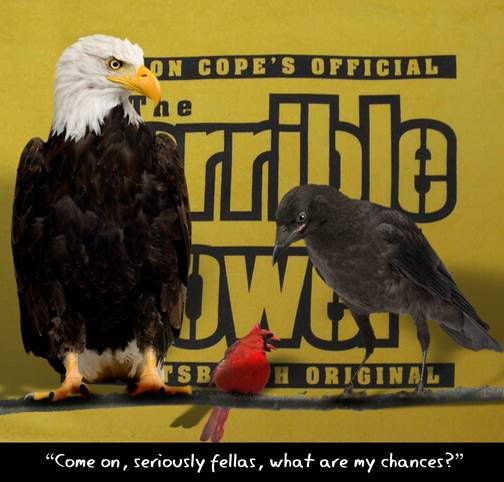 SteelersandBirds.jpg