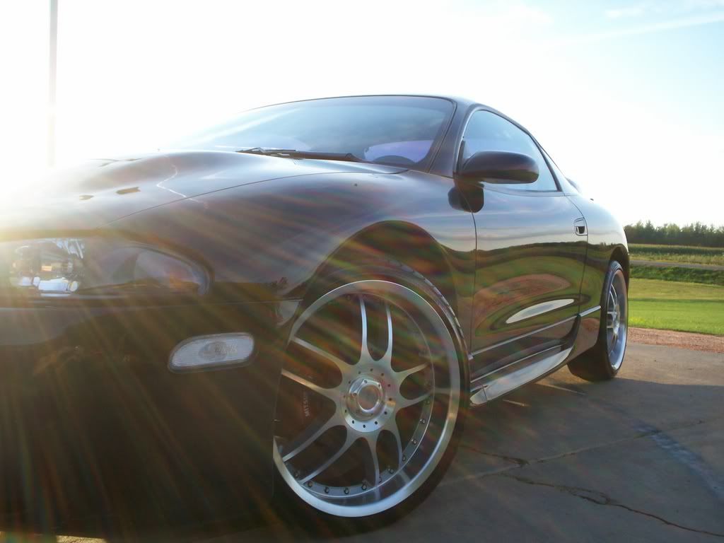 IMAGE: http://i155.photobucket.com/albums/s292/BaumannPhotography/100_0460.jpg