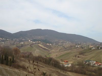 Foto Lina