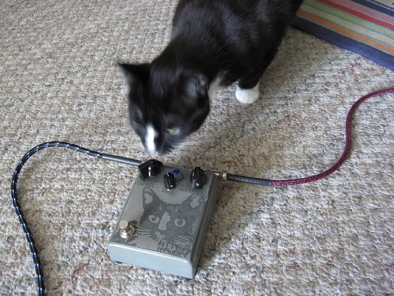 BYOC Tone Bender MKII clip and pics The Gear Page