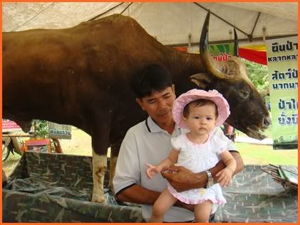 วันแม่ อปอพาแม่ คุณยาย คุณย่าเที่ยว