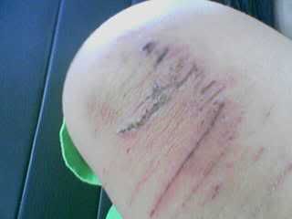 Photo Sharing and Video Hosting at Photobucket