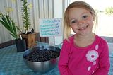 oregon blueberries