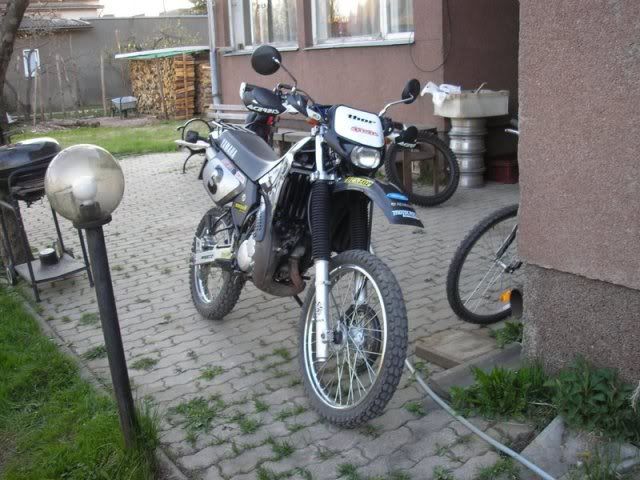 Pilt