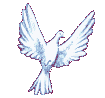 Linked Image