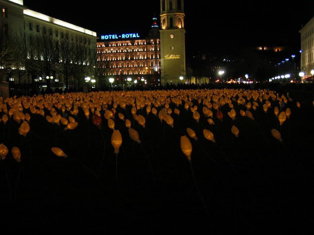 Field of Glowing Flowers