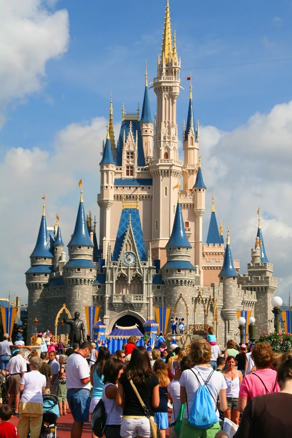 magic kingdom castle. Cinderella#39;s Castle at Magic