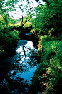 i love nature Pictures, Images and Photos