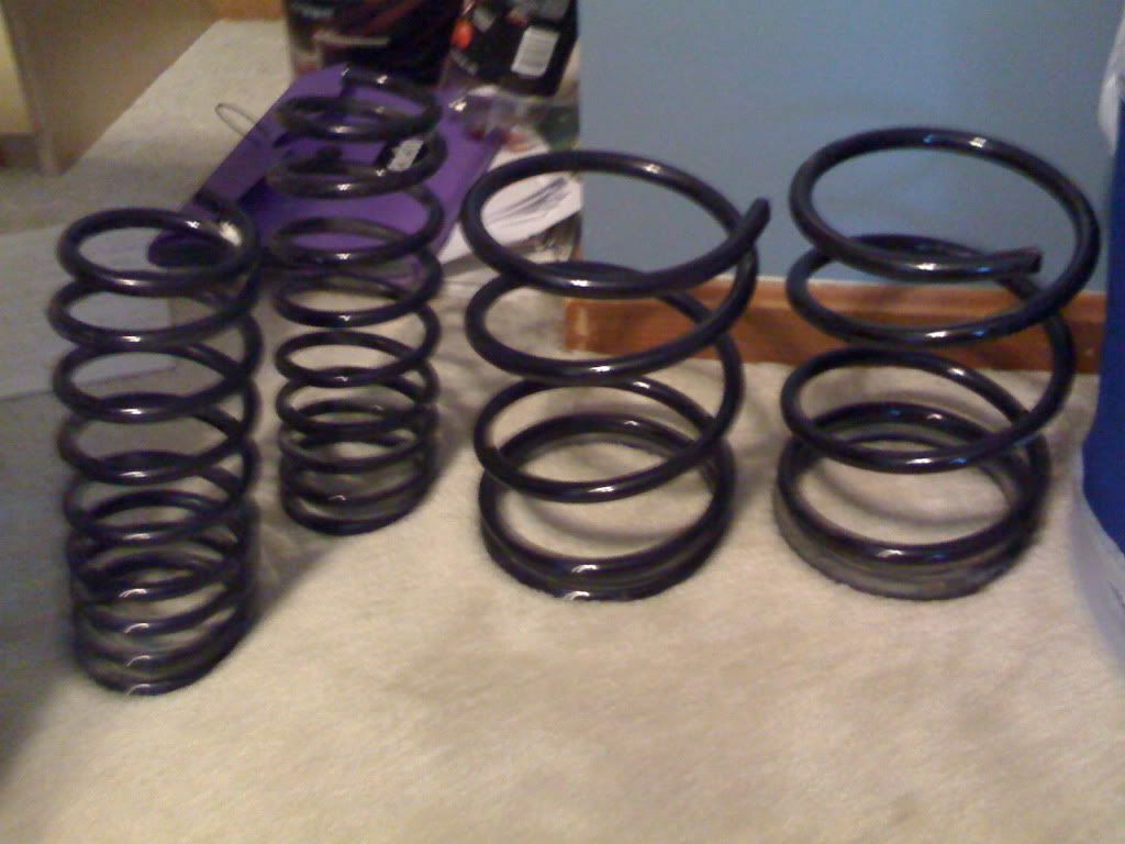 Tenzo r springs honda civic #6