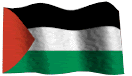 my palestine