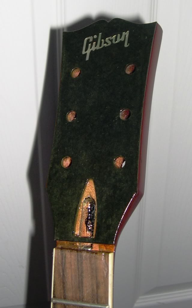DSCN2227a.jpg