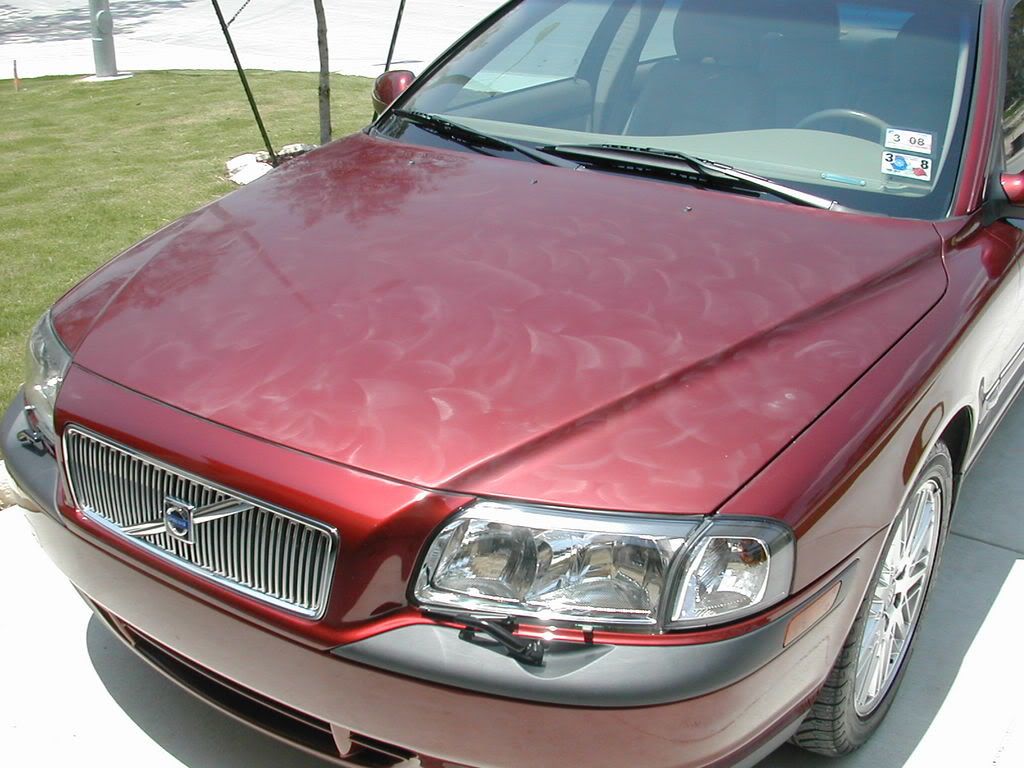 DSCN1565.jpg
