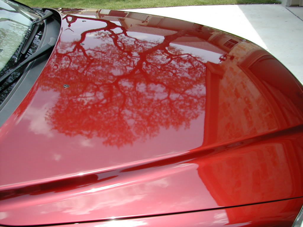 DSCN1570.jpg