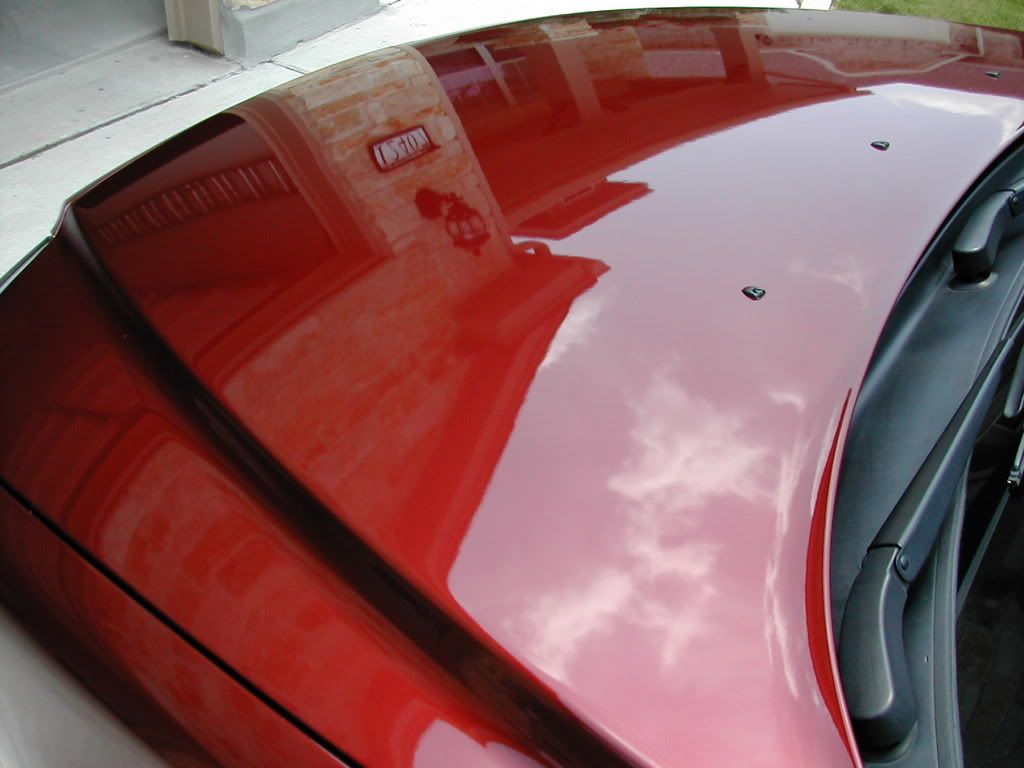 DSCN1572.jpg