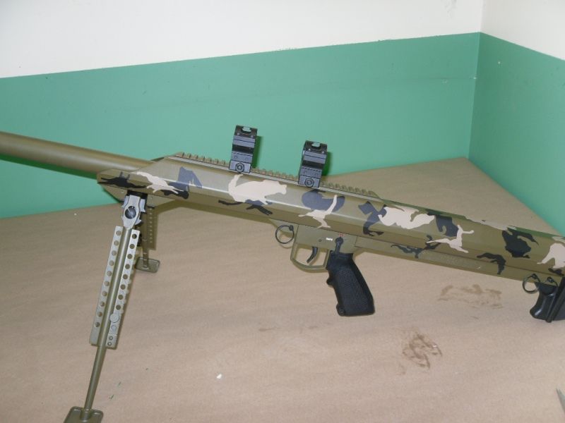 Barrett99BirdsongCamoLS8x6.jpg