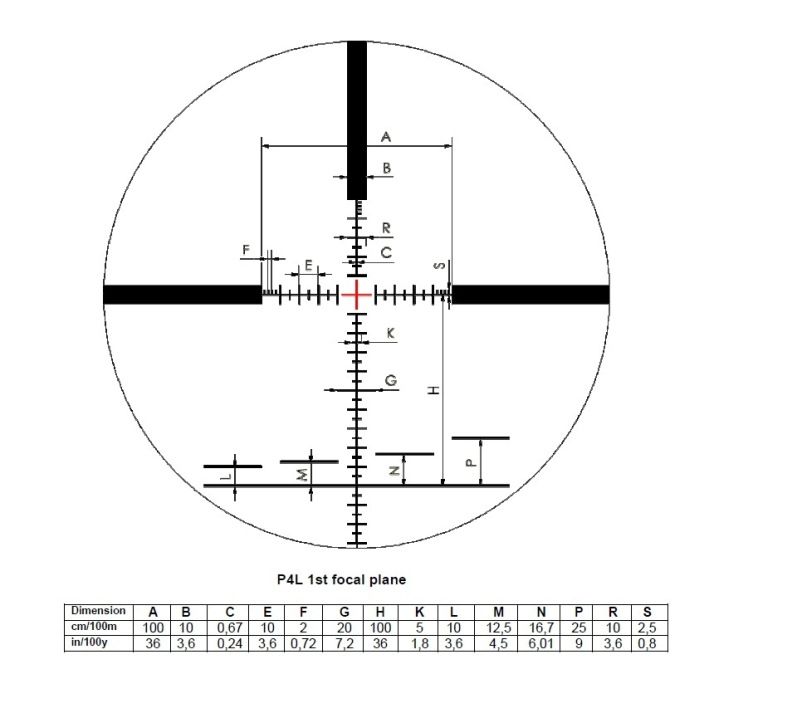 P4LFFP25X8x6.jpg