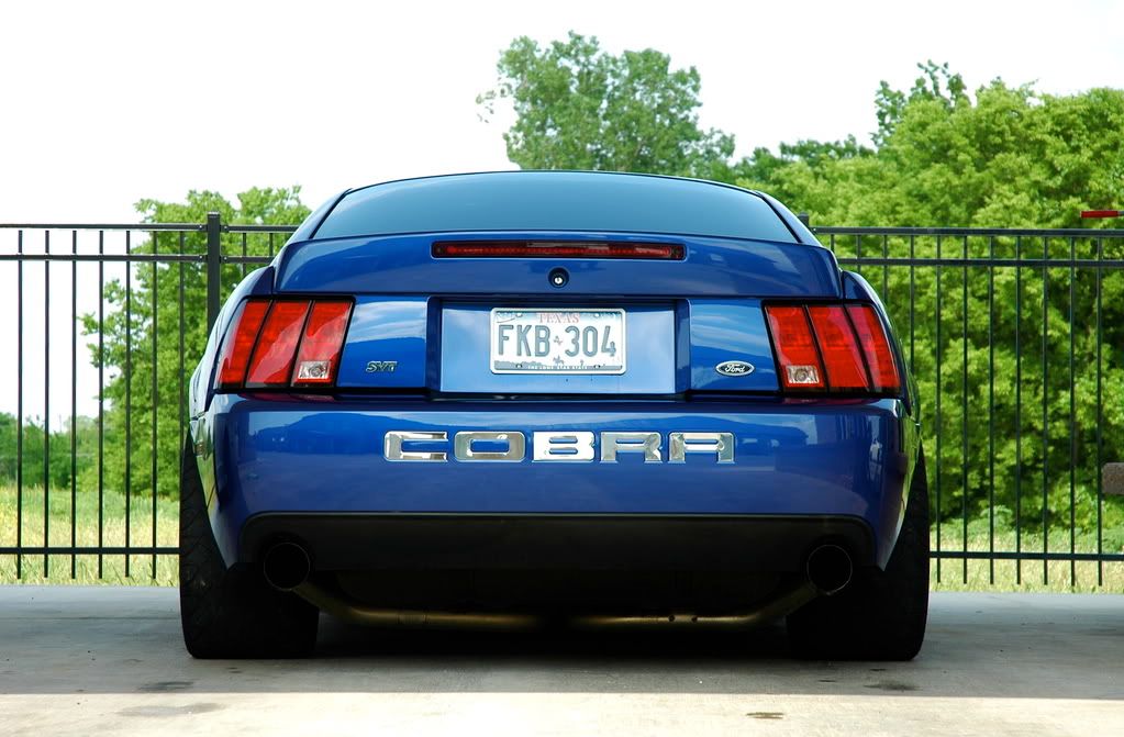 http://i155.photobucket.com/albums/s309/BUstang12/DSC_0015.jpg