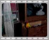 andyucurious.mp4 video by TIREDofBS4