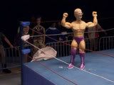 Robot Chicken - Season 1 DVDRip