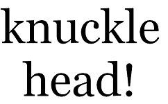 knucklehead.jpg knuckle head image by rocknhollydolly