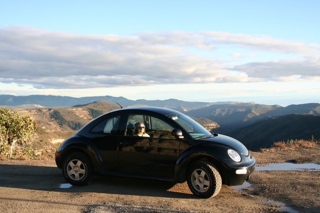 Ashlee S Black New Beetle Tdi Lifted For Offroad Use Vw Beetle Forum