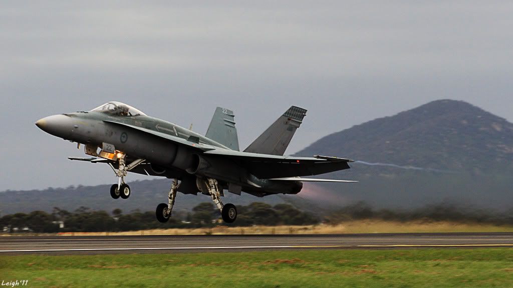 IMAGE: http://i155.photobucket.com/albums/s314/Lethal_014/Hornet.jpg