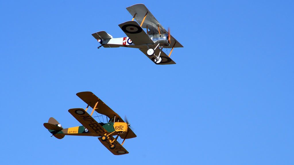 IMAGE: http://i155.photobucket.com/albums/s314/Lethal_014/Pupv1.jpg