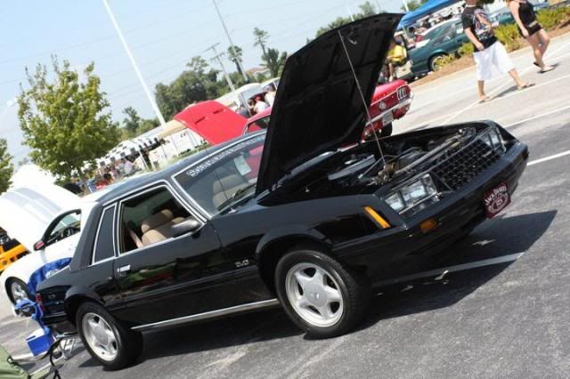 79mustang6.jpg