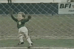 image001.gif