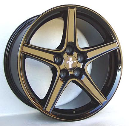 IMAGE: http://i155.photobucket.com/albums/s314/blinkdude8723/blacksaleen.jpg