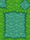 003_grassC-1.png