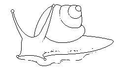 snail2.png