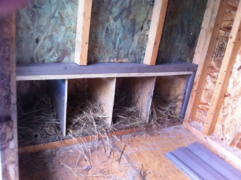 Comment amenager interieur un poulailler Comment amenager interieur un poulailler
