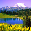 natureavie1.png