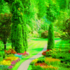 natureavie3.png