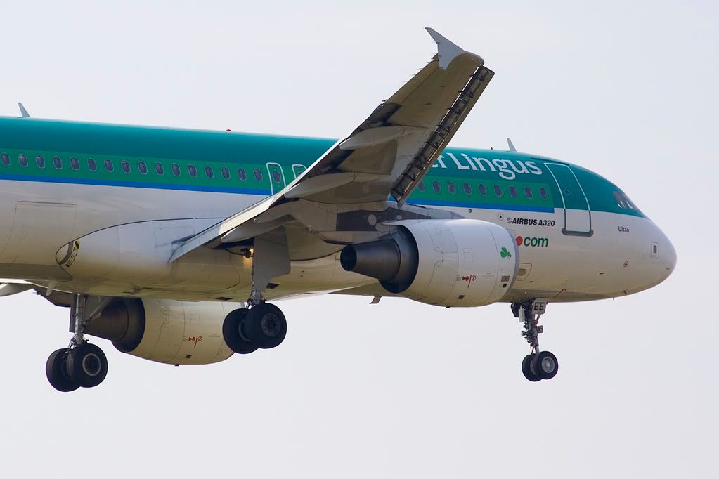 http://i155.photobucket.com/albums/s318/MonkeyHugger/AerLingus-1.jpg