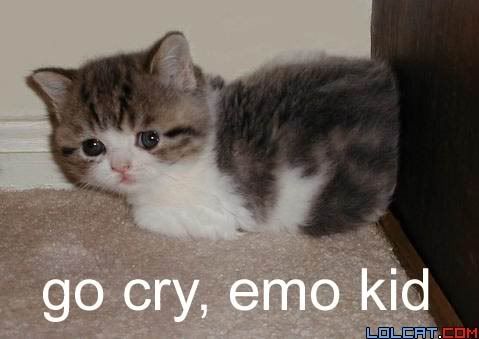 emokitten.jpg